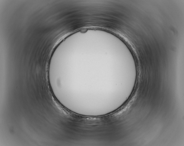 X0000111681137200908071420