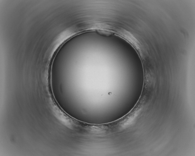 X0000111681138200908071420