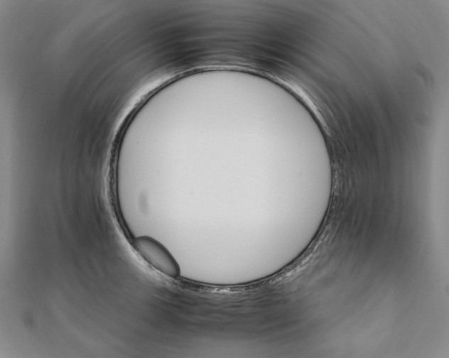 X0000111681139200908071420