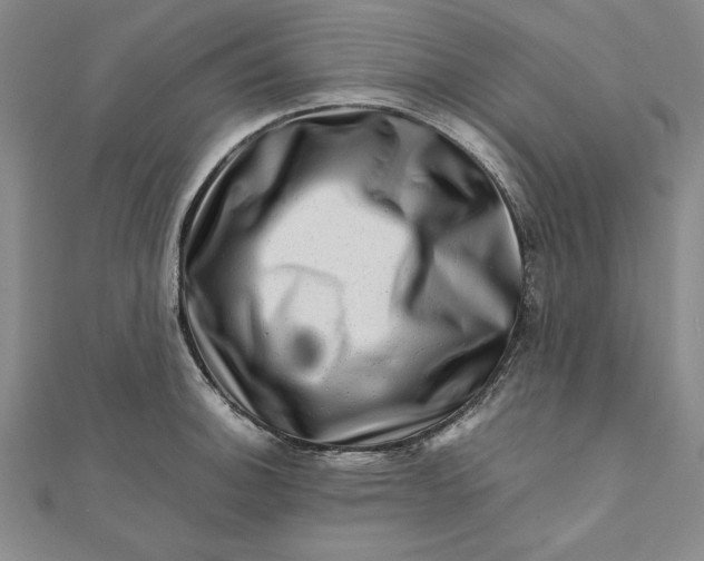 X0000111681140200908071420