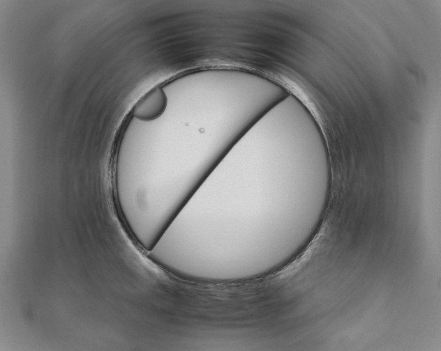 X0000111681141200908071420