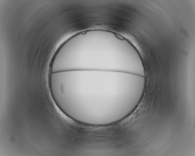 X0000111681143200908071420