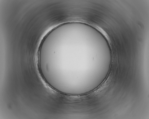 X0000111681144200908071420