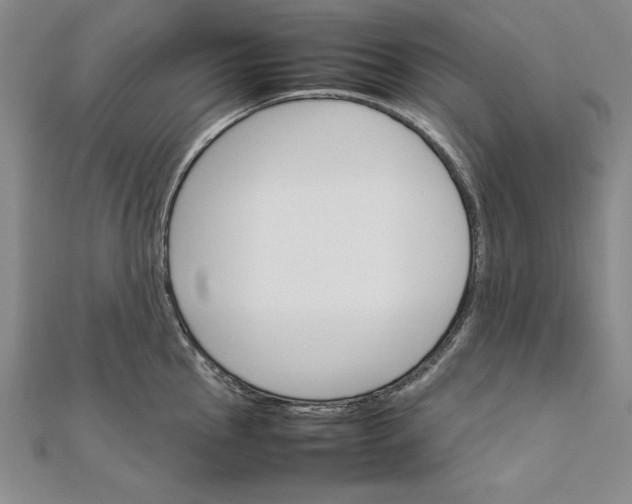 X0000111681145200908071420