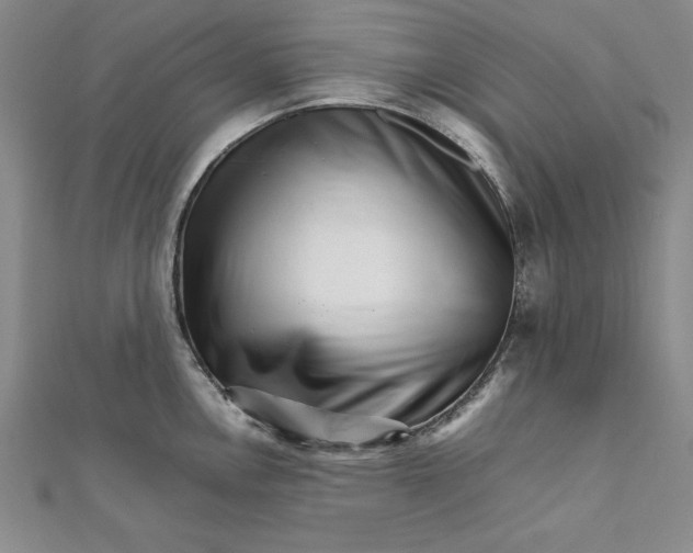 X0000111681146200908071420