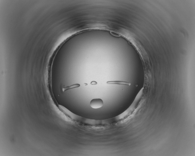 X0000111681147200908071420