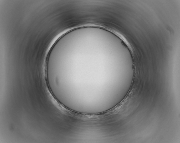 X0000111681148200908071420