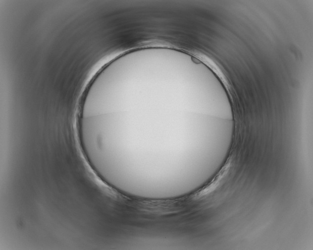 X0000111681149200908071420