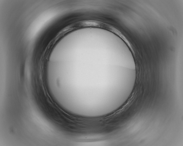 X0000111681151200908071420