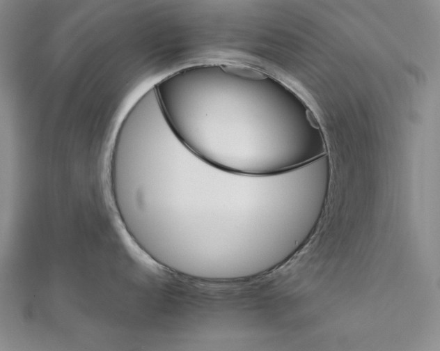 X0000111681152200908071420