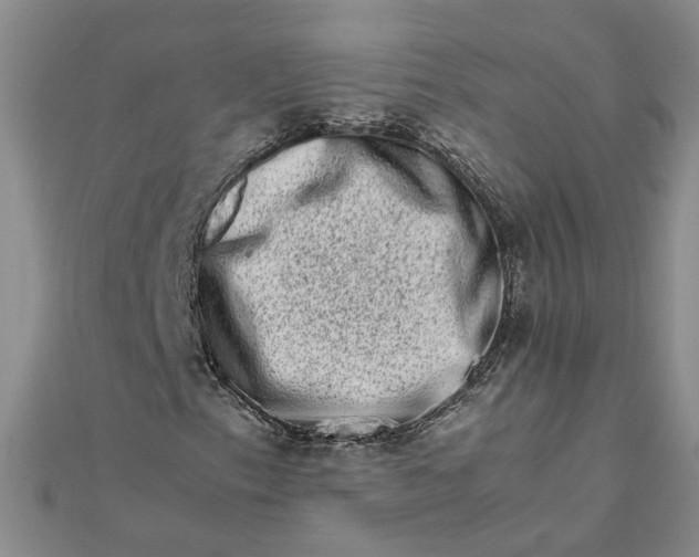 X0000111681153200908071419