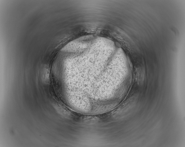 X0000111681154200908071419