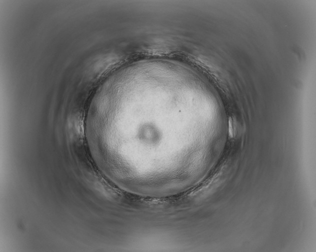 X0000111681155200908071419