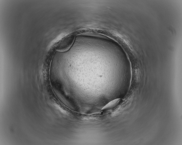 X0000111681159200908071419