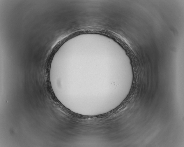 X0000111681160200908071419