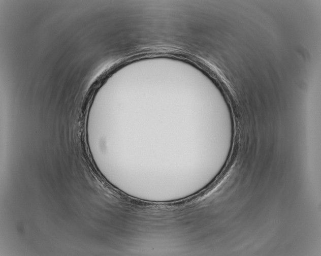 X0000111681163200908071419