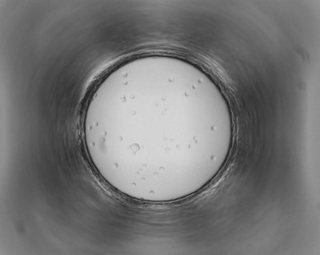 X0000111681164200908071419