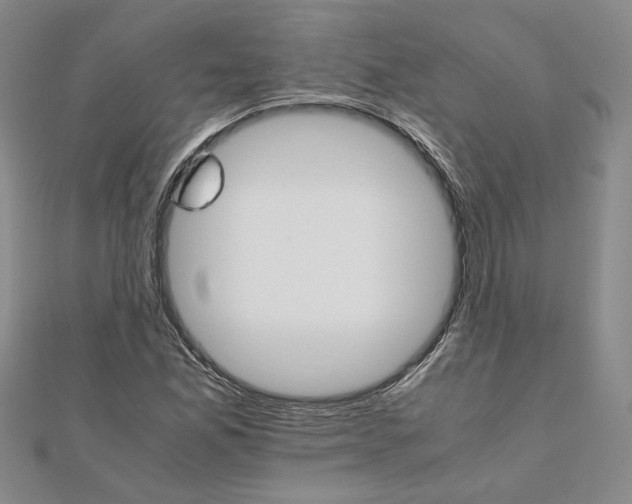 X0000111681165200908071419