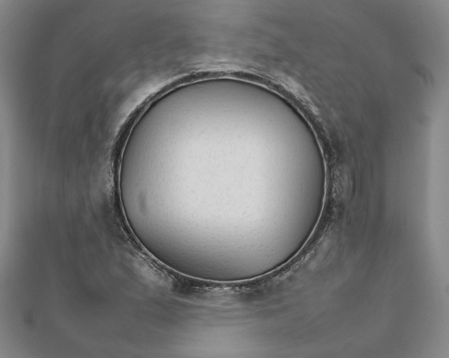 X0000111681167200908071419