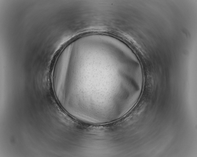 X0000111681168200908071419