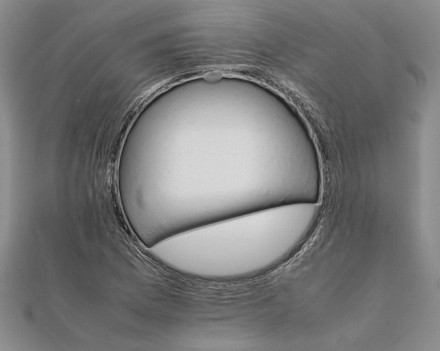 X0000111681169200908071419