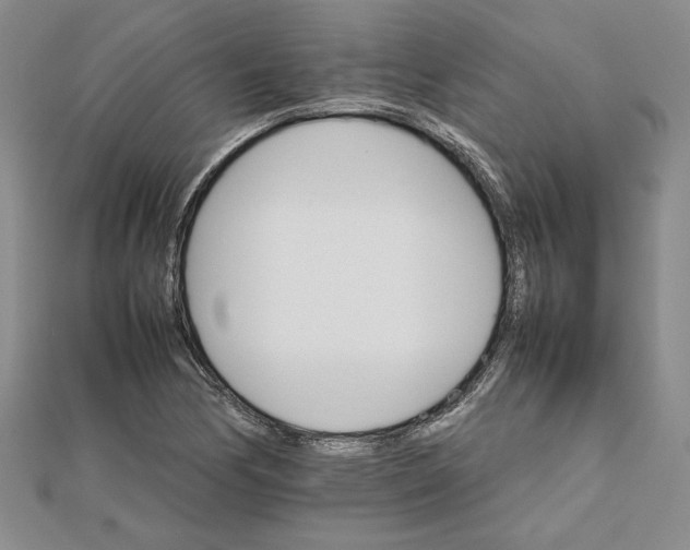 X0000111681170200908071419