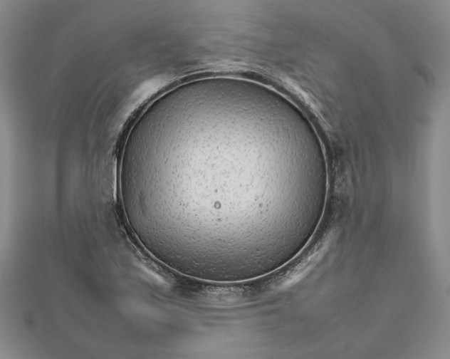 X0000111681171200908071419