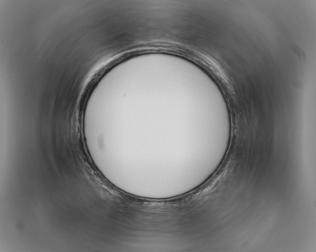 X0000111681172200908071419