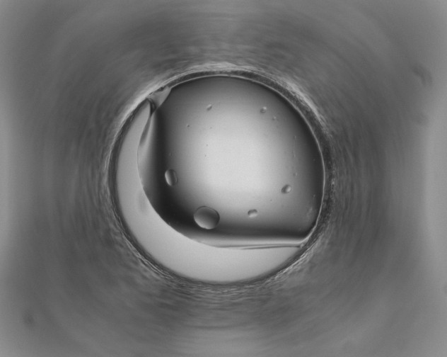 X0000111681173200908071419