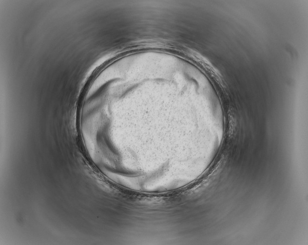 X0000111681174200908071419