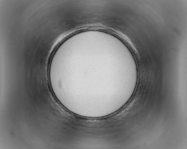 X0000111681176200908071419