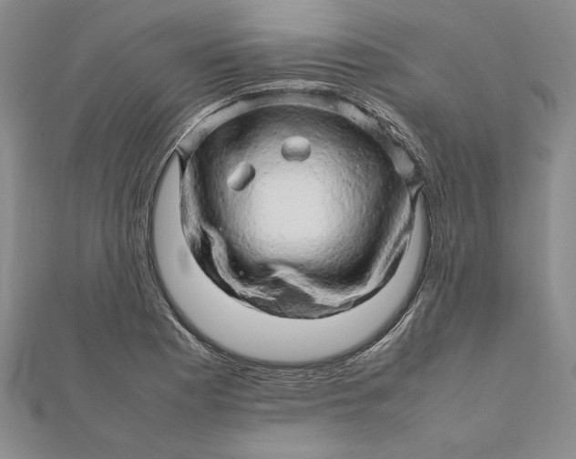 X0000111681177200908071419