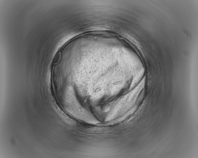 X0000111681179200908071419