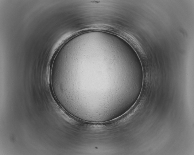 X0000111681180200908071419