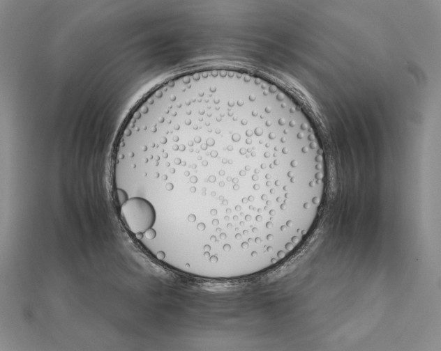 X0000111681182200908071419