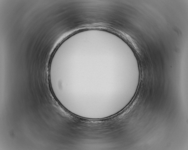 X0000111681184200908071419