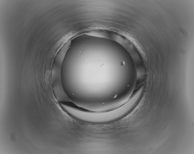 X0000111681185200908071419