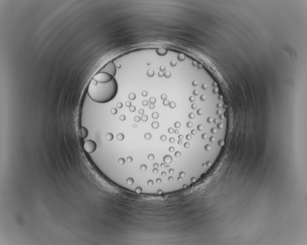 X0000111681186200908071419