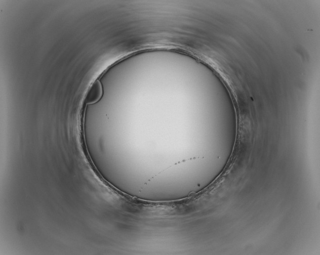 X0000111681187200908071418