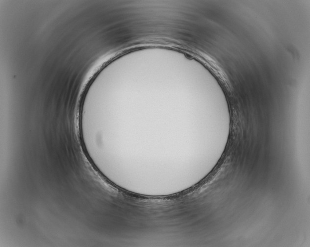 X0000111681188200908071418