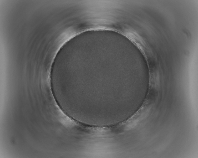 X0000111681189200908071418