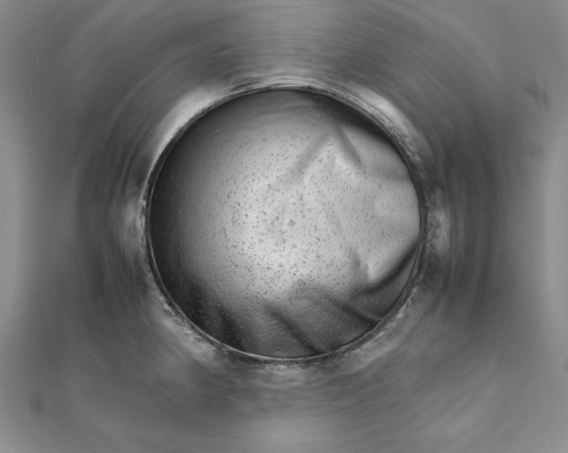 X0000111681190200908071418