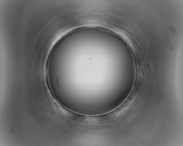 X0000111681191200908071418