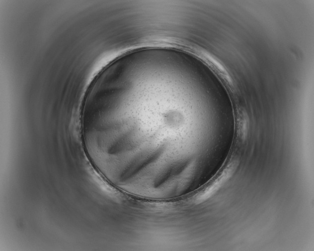 X0000111681192200908071418