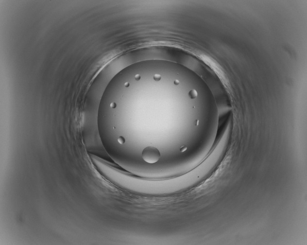 X0000111681193200908071418