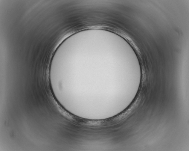 X0000111681194200908071418