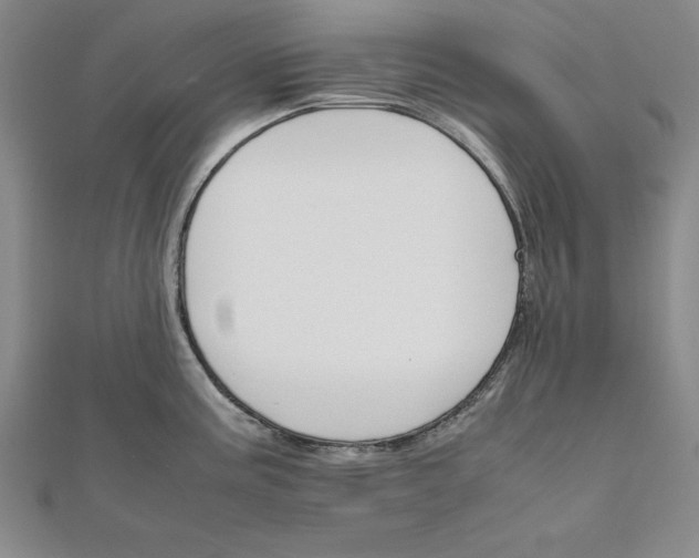 X0000111681195200908071418