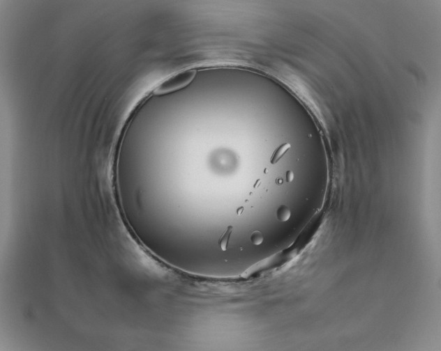 X0000111681197200908071418