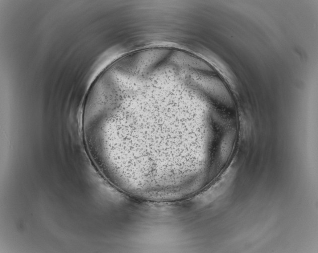 X0000111681198200908071418