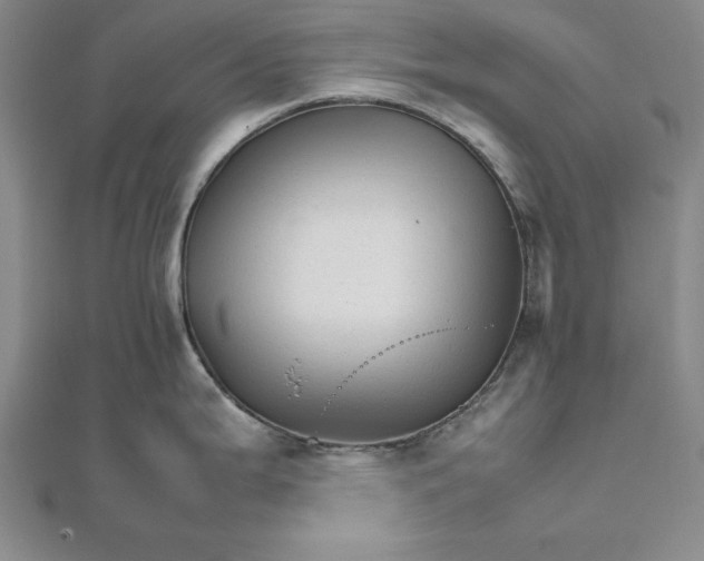 X0000111681199200908071418